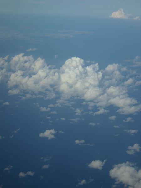 SAM_1488_resize.JPG